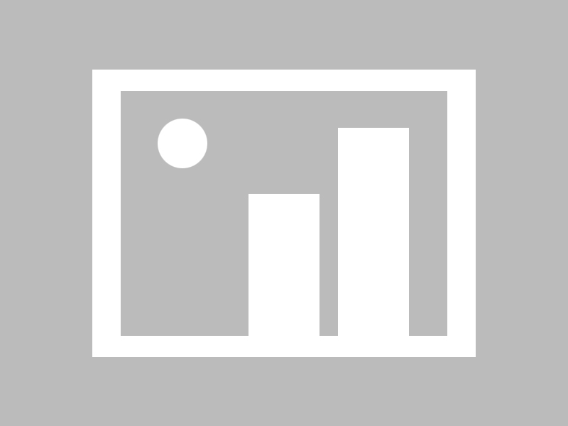 C9启用新人阵容引热议，c9队伍